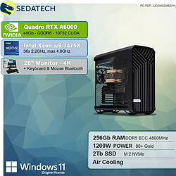 Sedatech Pack Workstation Pro • Intel Xeon-3475X • RTX A6000 • 256Go RAM • 2To SSD M.2 • Windows 11 Pro • Moniteur 28"