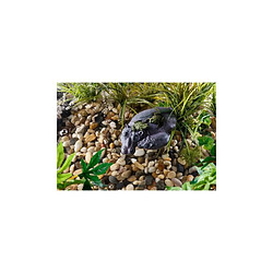 Exo Terra Exo-terra Hippo Turtle Island - Pour Reptile Ou Amphibien