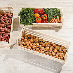 Avis Pegane Grande Caisse Etagére cagette pour rangement en Bois empilables pour fruits et légumes, , 79 x 30 x 80 cm