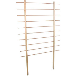 Esschert Garden Support en bois de pin pour plantes Treilli 100 x 170 cm.