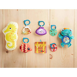 Acheter Baby Einstein Mini-portique d'activité bébé Sea Friends