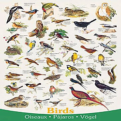 Eurographics Birds Fields and gardens Puzzle (1000 piAces) (6000-1259)