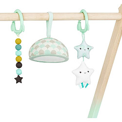 Acheter B. toys by Battat d?éveil et de Jeu ? Starry Sky ? 3 Jouets sensoriels ? Tapis en Coton Biologique ? Portique en Bois Naturel ? pour bébés et Enfants, BX1760C1Z, Menthe et Ivoire