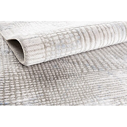 Acheter Hadorn Tapis 240x240 gris Davos Flawless