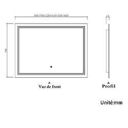 Acheter Miroir de salle de bain avec lumières Led 110x70cm (LxH)