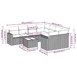 Avis vidaXL Salon de jardin avec coussins 9 pcs beige résine tressée