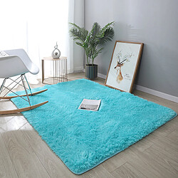 LUUCOZK Tapis à poils longs doux et moelleux pour chambre à coucher et salon - Cielbleu-100x160cm 