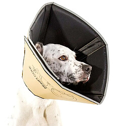 Acheter All Four Paws Collier animaux de compagnie Comfy Cone S Long 20cm Brun