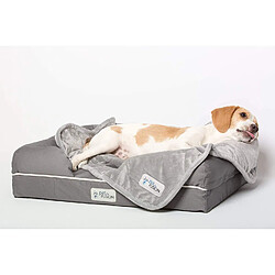 PetFusion Premium Plus Petit Chien ou Chat Couverture (79 x 69 cm). réversible Gris Micro en Peluche. [100% Polyester Doux]