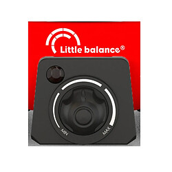 Fondue 800w 8 fourchettes - 8689 - LITTLE BALANCE