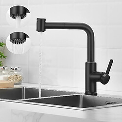 Cecipa max Mitigeur de Cuisine avec Douchette Extractible, Robinet d'évier Noir, Robinet d'eau Chaude et Froide, 2 Modes de Sortie D'eau,EU Modèle