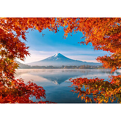 Schmidt Spiele Puzzle Paysage d'automne au Fuji, 1000 pcs 