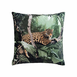 Paris Prix Coussin Velours Imprimé Mendoza 45x45cm Vert