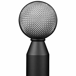 Microphone