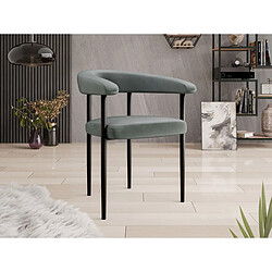 palozi home Chaise en velours Phil - Gris