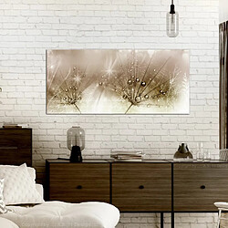 Paris Prix Tableau Imprimé Drops of Dew Brown Wide 45x100cm