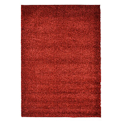 Hadorn Tapis shaggy 120x80 rouge Limited Edition 