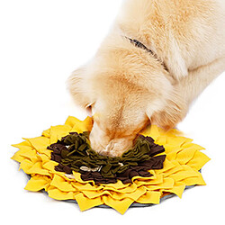 Avis Tapis Snuffle Chien educateur chien petite taille