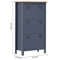 Avis vidaXL Armoire à chaussures Hill Gris 72x35x124 cm Bois de pin solide