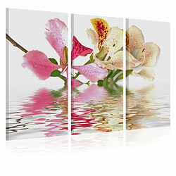 Paris Prix Tableau Imprimé Orchid with Colorful Spots 40 x 60 cm