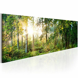 Paris Prix Tableau Imprimé Forest Shelter 50 x 150 cm 