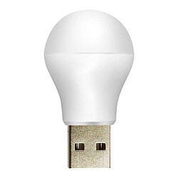 Avizar Ampoule LED USB 1W 6500K avec Format Compact et Universel