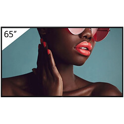 Moniteur Videowall Sony FW-65BZ40L 4K Ultra HD 65" 60 Hz 