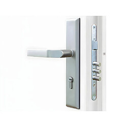 Acheter Vente-Unique Porte d'entrée en acier vitrée et inox H207 x L100 cm effet chêne - poussant gauche - COVAS