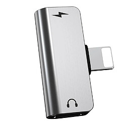 Adaptateur Audio 2 en 1 Pour iPhone / iPad / Couleur Argent Little Boutik®