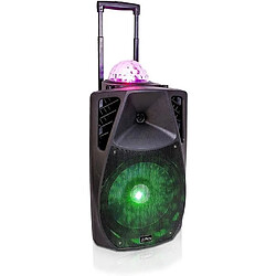 Ibiza Sound enceinte animée portable 15"" /38cm avec fonction USB BLUETOOTH FM et 1 micro VHF 800W noir