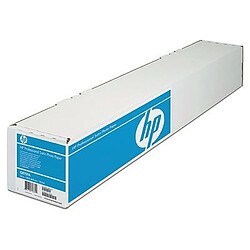 Bmg HP Professional Satin 610 mm x 15.2 m (24 in x 50 ft) papier photos 