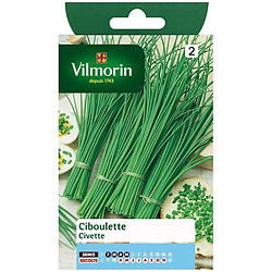 Vilmorin Sachet graines Ciboulette très fine danoise