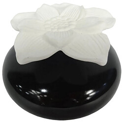 Diffuseur par Capillarité Narcisse - D 10 x H 6 cm - Noir