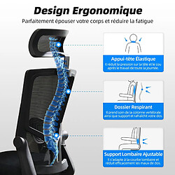 Chaise de Bureau Ergonomique Lexzurn, Accoudoirs Réglables, Noir