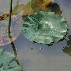 2x aquatique aquatiques eau herbe réservoir de poissons aqua paysage lotus décor 17cm