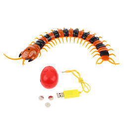 Infrarouge RC Télécommande Animal Mille-pattes