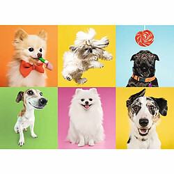 Acheter Trefl- Puzzle de 500 pièces, Chiens Animals & Dogs & Funny, 37378, Multicolore