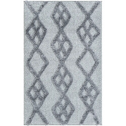 Hadorn Tapis shaggy 305x240 gris Thun Tribus 