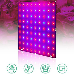 Acheter LED élèvent Des Lampes De Croissance De Panneau Bleu Rouge Pour Les Plantes 169 LED