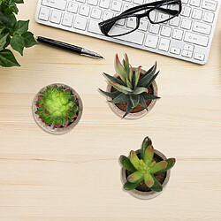 BESTA Ensemble de 3 Petites Plantes Artificielles Décoration Extérieur Intérieur Succulentes Succulentes En Pot pour Bureau, Balcon, Salon, Maison pas cher