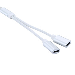 Wewoo Adaptateur blanc pour iPhone X / 8 et 8 Plus / 7 7 Plus / 6 6s 6 Plus 6s Plus / iPad, soutien IOS 11,2 12cm 8 broches Lightning mâle à double câble d'adaptateur femelle 8 Lightning,