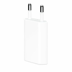 Adaptateur Apple