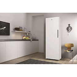 Acheter Indesit Congélateur armoire UI6F2TWFR