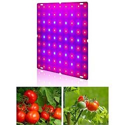 LED élèvent Des Lampes De Croissance De Panneau Bleu Rouge Pour Les Plantes 169 LED pas cher