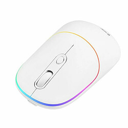 Avis Souris Tracer RATERO Blanc