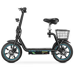 Trottinette Électrique Honey Whale M5Elite - Moteur 500W Batterie 48V13AH Autonomie 45KM Freins à Disque - Noir