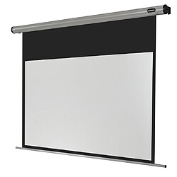 Ecran de projection celexon Motorisé Home Cinema 220 x 124 cm 