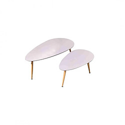 Zons FLY Lot de 2 tables basses Gigognes grises Au Style Scandinave