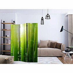 Paris Prix Paravent 3 Volets Sun & Bamboo 135x172cm