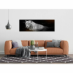 Paris Prix Tableau Imprimé Shining Tiger Orange Narrow 40 x 120 cm